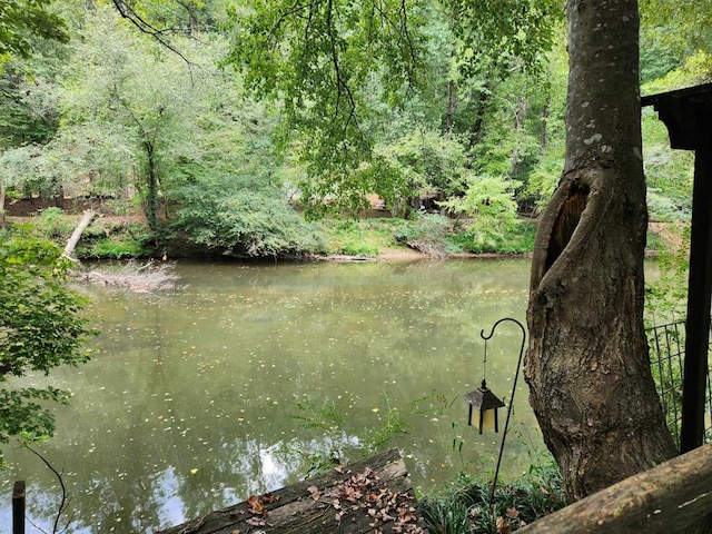 property view of water with a forest view