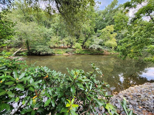 view of water feature featuring a wooded view