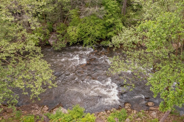 view of nature featuring a water view