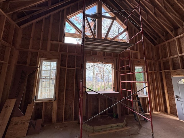 miscellaneous room featuring lofted ceiling