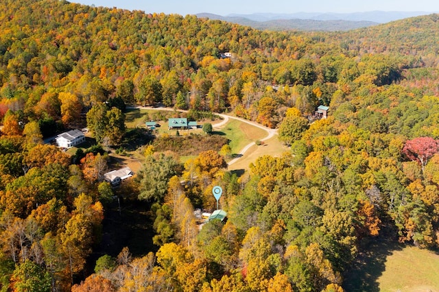 drone / aerial view featuring a mountain view