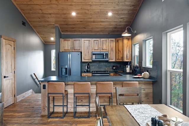 1250 Lost Forest Rd, Ellijay, GA 30536 - kitchen with dark countertops, a sink, stainless steel appliances, wooden ceiling, and dark wood-type flooring