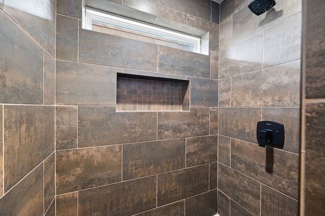 1250 Lost Forest Rd, Ellijay, GA 30536 - interior details featuring a tile shower