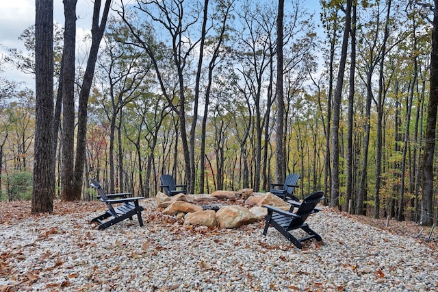 1250 Lost Forest Rd, Ellijay, GA 30536 - view of yard featuring a fire pit and a wooded view