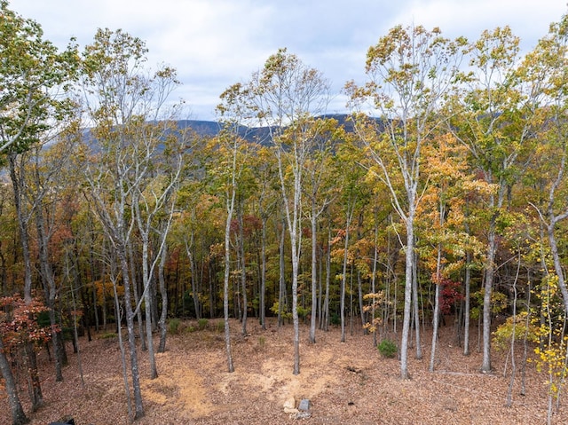 1250 Lost Forest Rd, Ellijay, GA 30536 - mountain view featuring a forest view