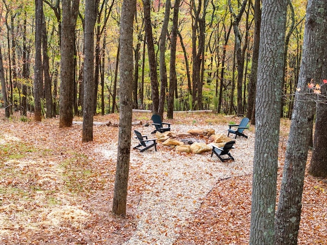 1250 Lost Forest Rd, Ellijay, GA 30536 - exterior space with a fire pit