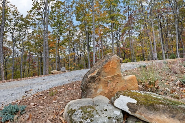 1250 Lost Forest Rd, Ellijay, GA 30536 - exterior space with a wooded view