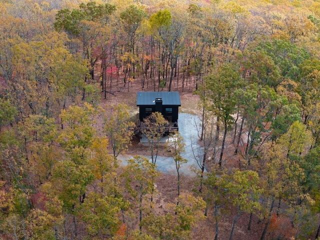 1250 Lost Forest Rd, Ellijay, GA 30536 - aerial view with a view of trees