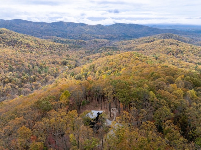 1250 Lost Forest Rd, Ellijay, GA 30536 - aerial view with a wooded view and a mountain view
