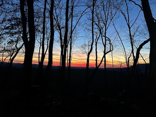 1250 Lost Forest Rd, Ellijay, GA 30536 - water view