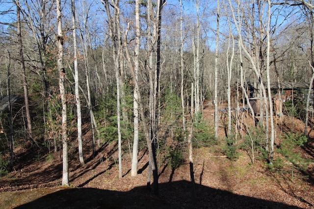 view of local wilderness