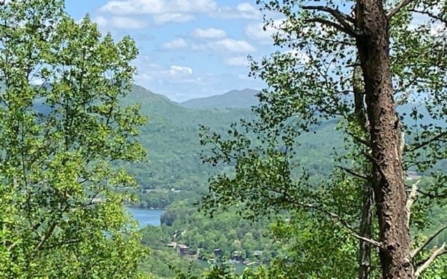 Listing photo 2 for LOT8 Hidden Summit Rd, Hiawassee GA 30546