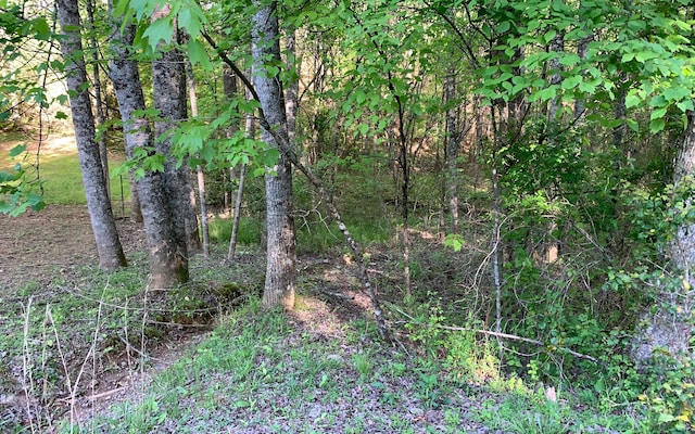 Listing photo 2 for LOT Hunter Valley Rd, Murphy NC 28906