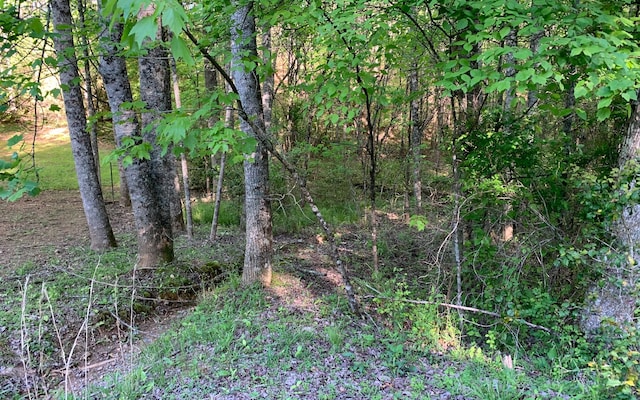 Listing photo 3 for LOT Hunter Valley Rd, Murphy NC 28906