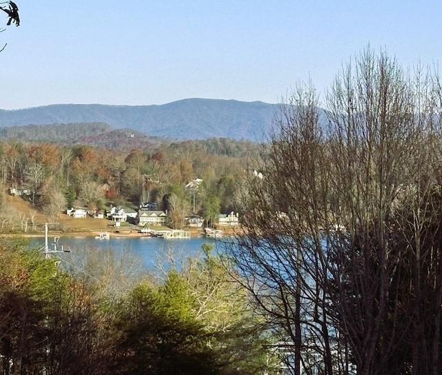 view of water feature with a mountain view