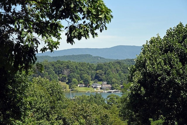 mountain view featuring a water view