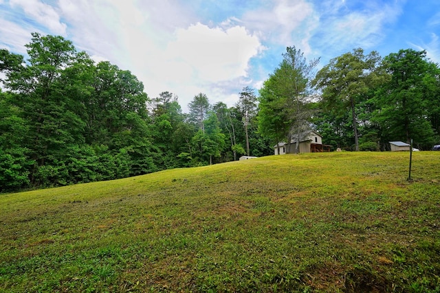 view of yard featuring an outdoor structure