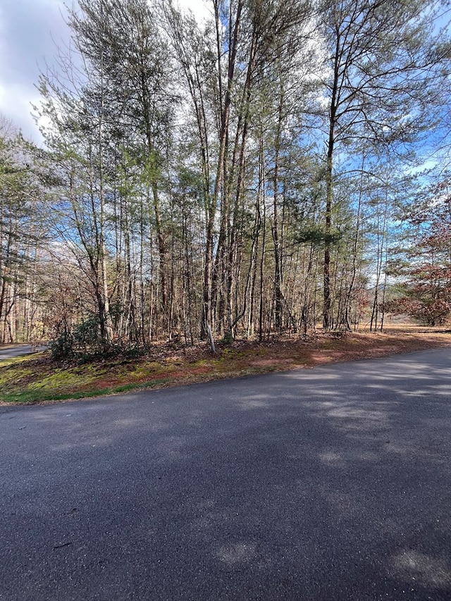 Listing photo 2 for LOT46A Licklog Rdg, Hayesville NC 28904