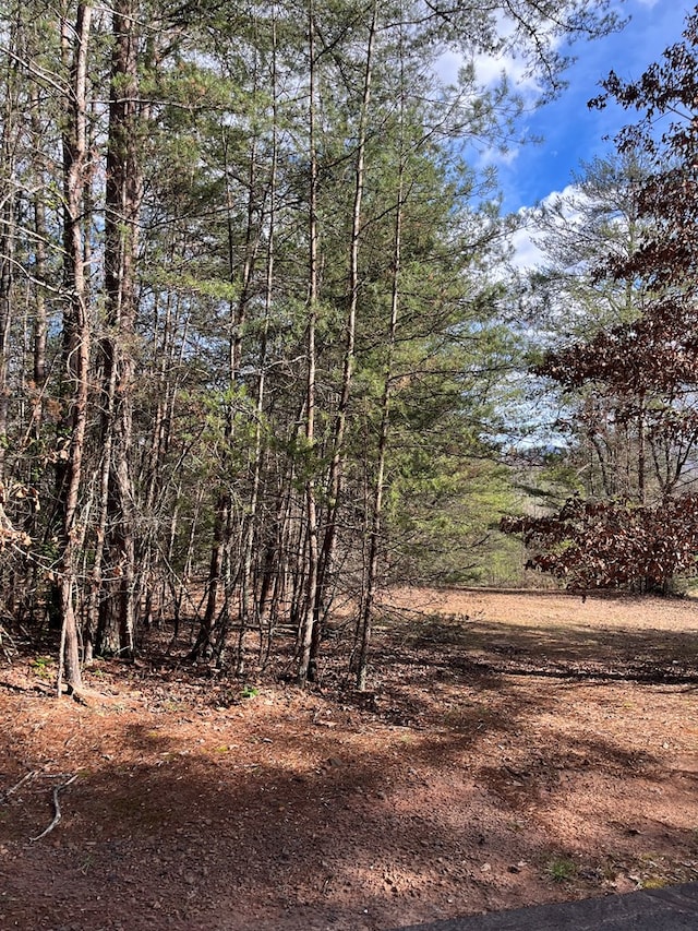 Listing photo 3 for LOT46A Licklog Rdg, Hayesville NC 28904