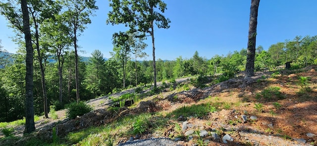 Listing photo 3 for LOT18 Mountain Laurel Rdg, Mineral Bluff GA 30559