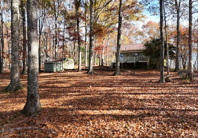 view of yard featuring a deck and a storage shed