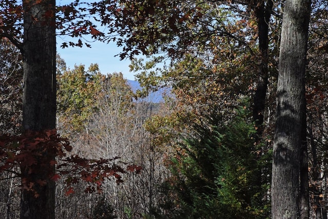 view of local wilderness