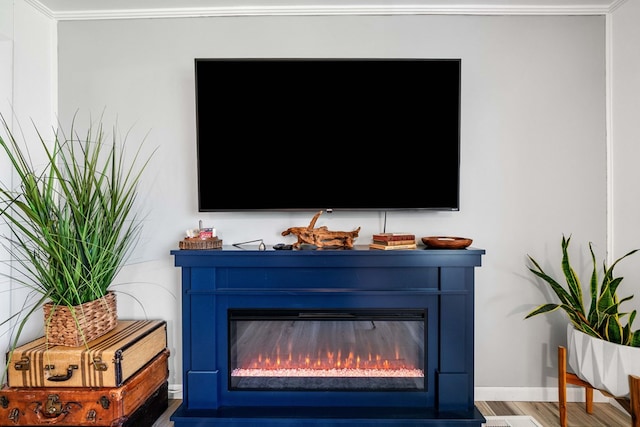 room details with baseboards, crown molding, a glass covered fireplace, and wood finished floors