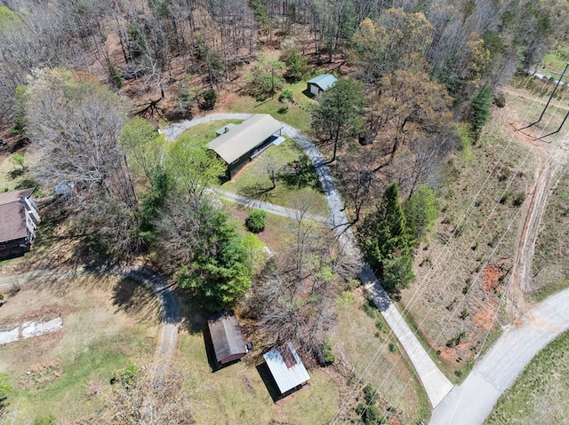 aerial view