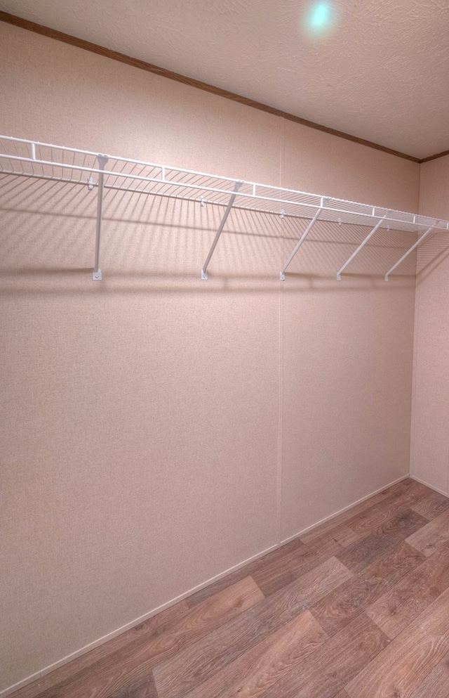 spacious closet featuring wood-type flooring