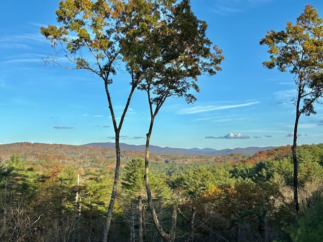 property view of mountains