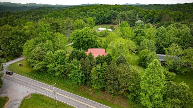 16 Hollow Springs Rd, Blue Ridge, GA 30513 - aerial overview of property's location with a forest and a mountain backdrop
