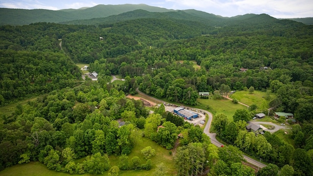 16 Hollow Springs Rd, Blue Ridge, GA 30513 - view of property location with a heavily wooded area and a mountain backdrop