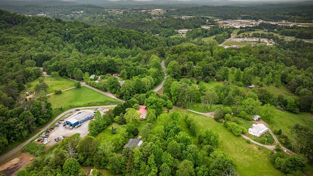16 Hollow Springs Rd, Blue Ridge, GA 30513 - aerial view of property's location featuring a heavily wooded area