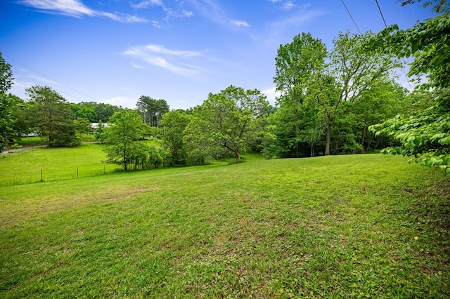 16 Hollow Springs Rd, Blue Ridge, GA 30513 - view of yard