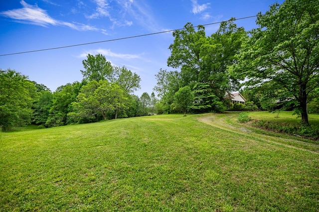 16 Hollow Springs Rd, Blue Ridge, GA 30513 - view of grassy yard