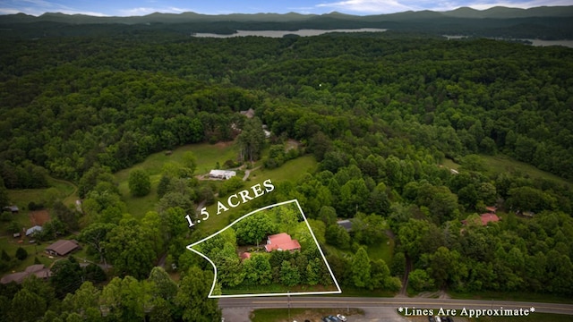 16 Hollow Springs Rd, Blue Ridge, GA 30513 - aerial view of property and surrounding area with a heavily wooded area, property boundaries highlighted, and mountains