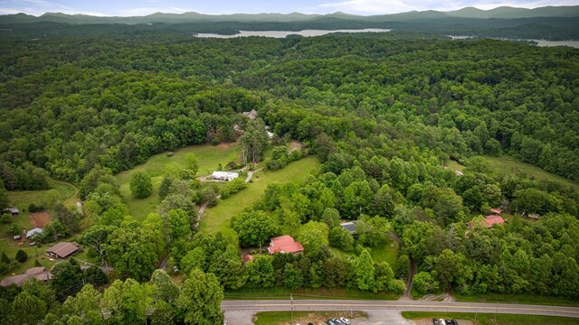 16 Hollow Springs Rd, Blue Ridge, GA 30513 - view of property location featuring a heavily wooded area and a mountain backdrop