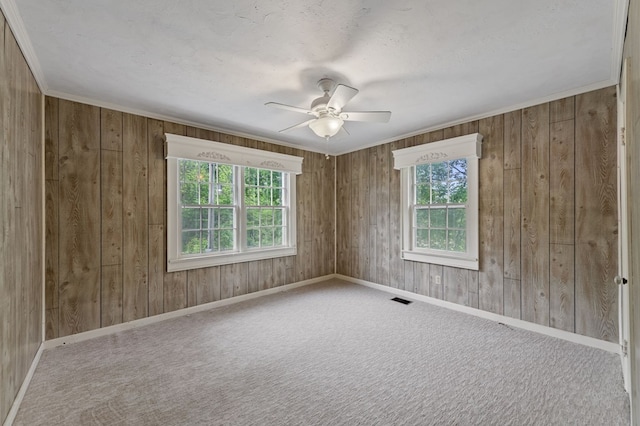 16 Hollow Springs Rd, Blue Ridge, GA 30513 - empty room featuring wooden walls, ceiling fan, carpet floors, and baseboards