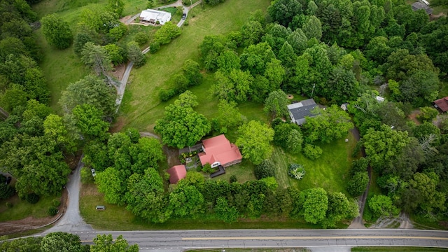 16 Hollow Springs Rd, Blue Ridge, GA 30513 - view of property location