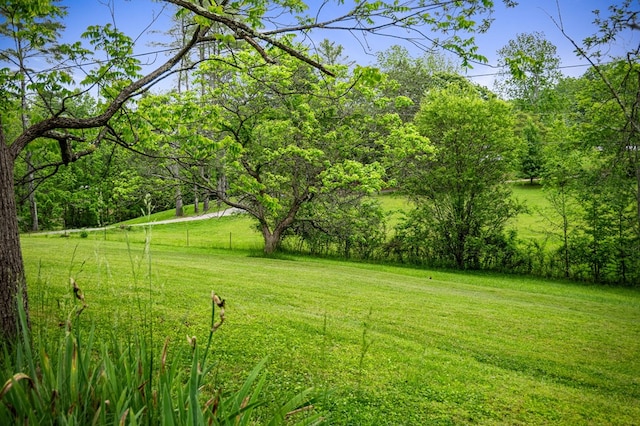 16 Hollow Springs Rd, Blue Ridge, GA 30513 - view of grassy yard