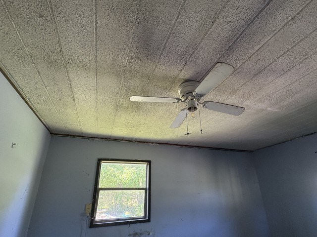 308 Beedie Jones Rd, Chatsworth, GA 30705 - detailed view of ceiling fan
