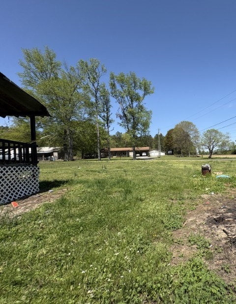 308 Beedie Jones Rd, Chatsworth, GA 30705 - view of yard