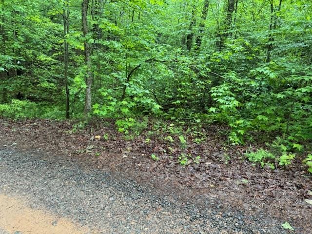 LOT146 Garner Ln, Ellijay GA, 30540 land for sale