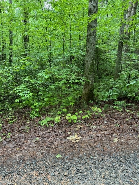 Listing photo 2 for LOT146 Garner Ln, Ellijay GA 30540