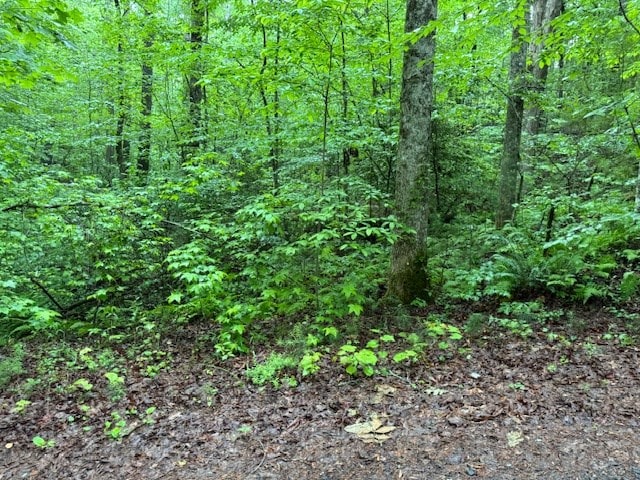 Listing photo 3 for LOT146 Garner Ln, Ellijay GA 30540