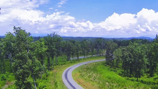 Listing photo 2 for LOT122 High River Xing, Ellijay GA 30540