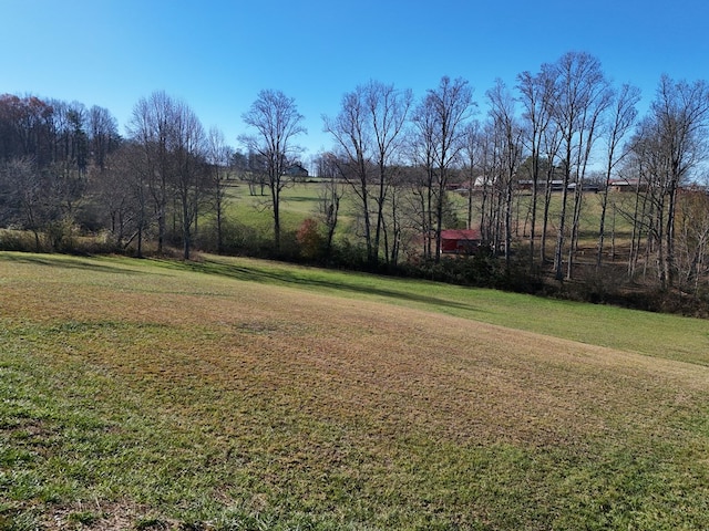 Listing photo 3 for LOT115 Owen Gln, Blairsville GA 30512