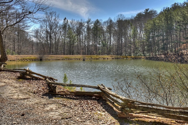 view of dock with a water view