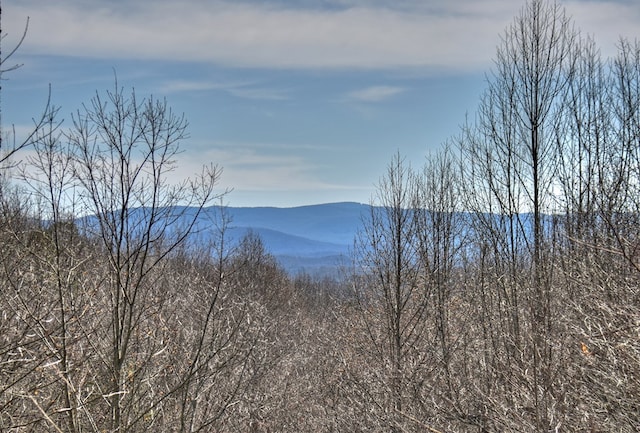 view of mountain feature