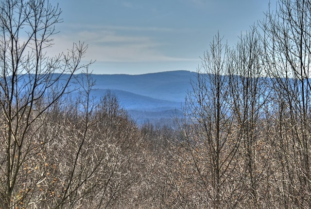 view of mountain feature